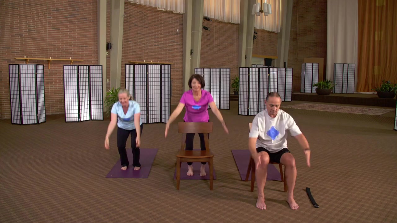 Yoga for the Rest of Us with Peggy Cappy: Easy Yoga for Diabetes screenshot 2