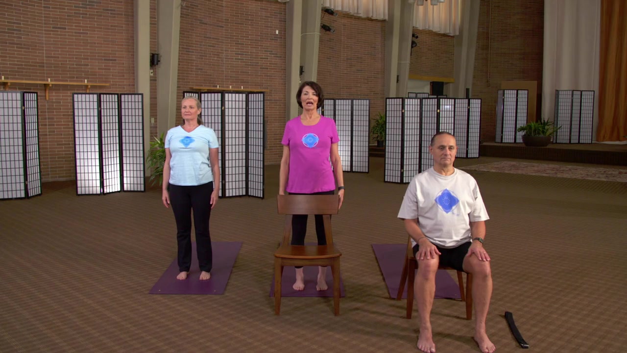Yoga for the Rest of Us with Peggy Cappy: Easy Yoga for Diabetes screenshot 3