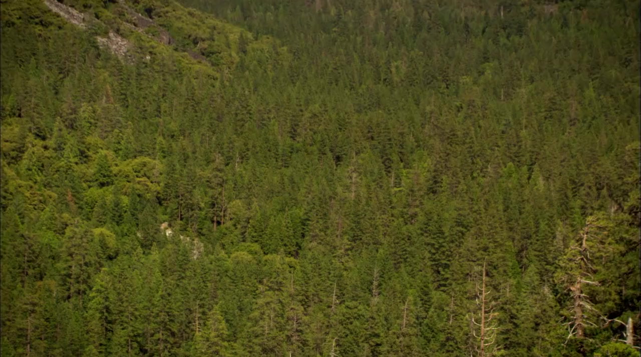 Yosemite: America's Treasure screenshot 2