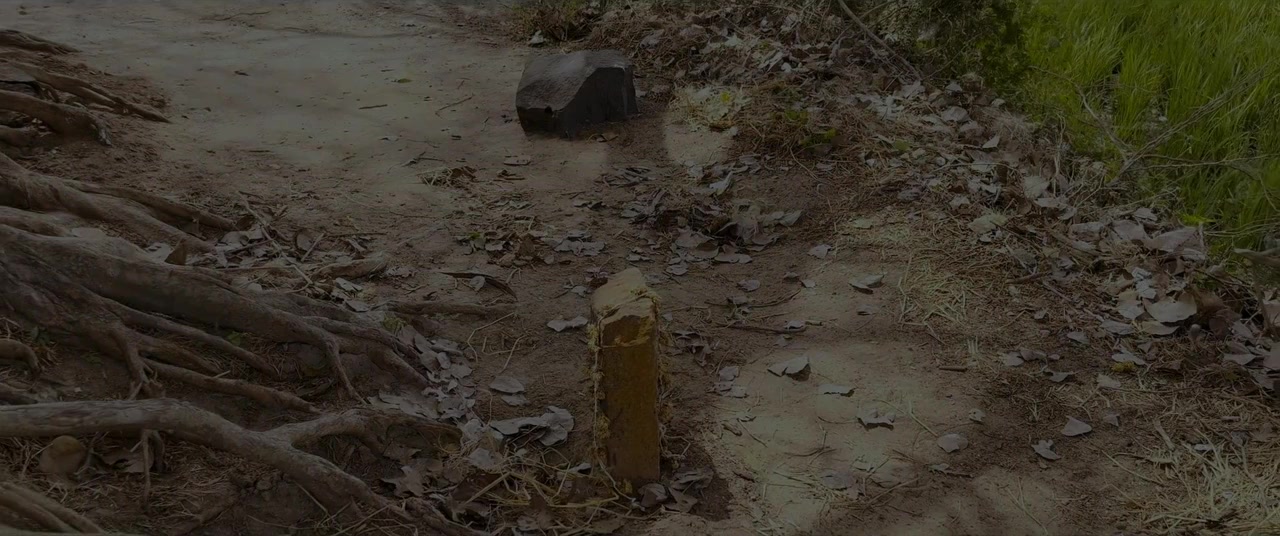 Yaanai Mugathaan screenshot 2
