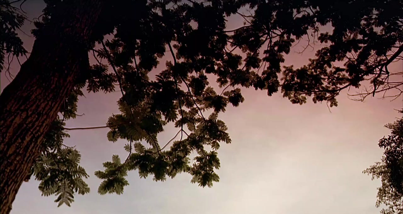 Muay Thai Warrior screenshot 2