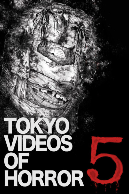 Yami Douga 5 (2013) poster