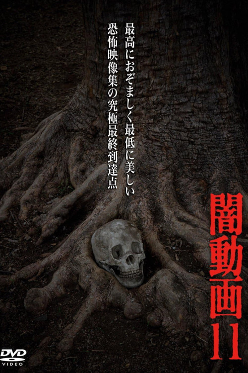 Yami Douga 11 (2014) poster