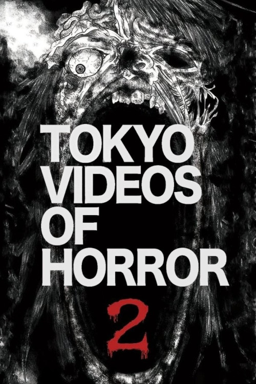 Yami Douga 2 (2012) poster