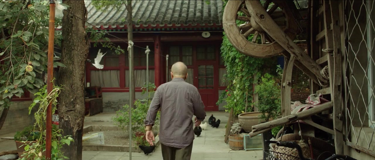 Ye Ying - Le promeneur d'oiseau screenshot 1