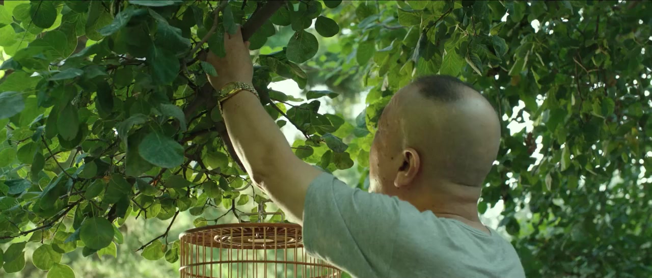 Ye Ying - Le promeneur d'oiseau screenshot 3