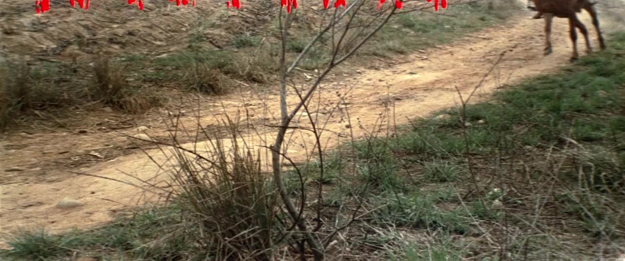 Yi dai jian wang screenshot 2