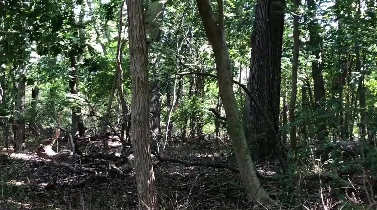 Yield screenshot 1