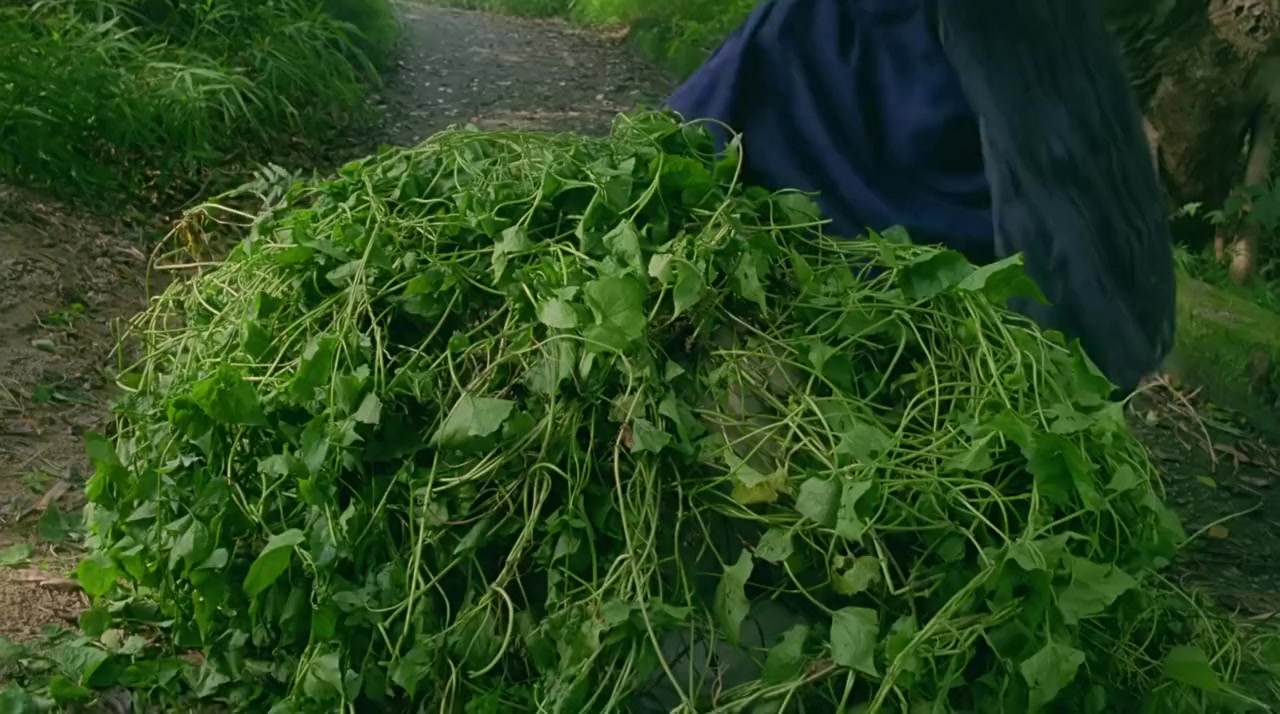 Dai lap mat tam: Ling ling sing sing screenshot 2