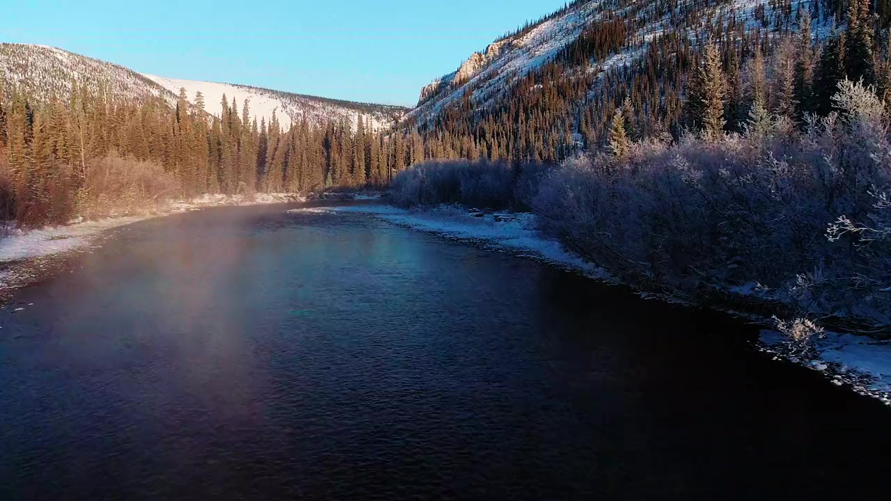 Yukon's Wild Grizzlies screenshot 3