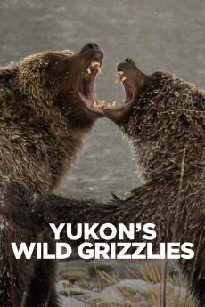 Yukon's Wild Grizzlies (2021) poster