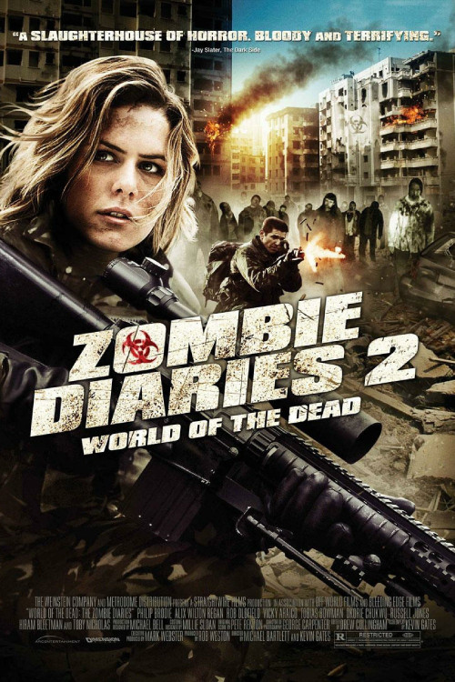 World of the Dead: The Zombie Diaries (2011) poster