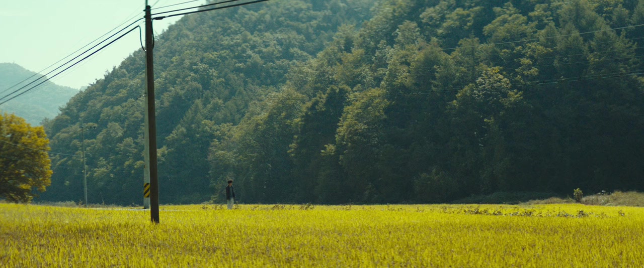 Gimyohan gajok screenshot 3