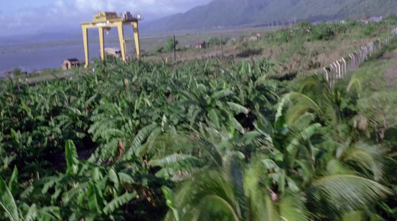 Zombi 3 screenshot 3