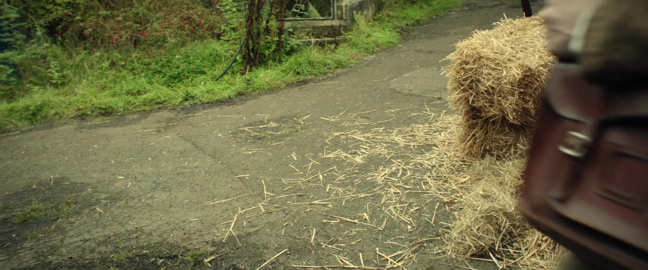 Zoo screenshot 1
