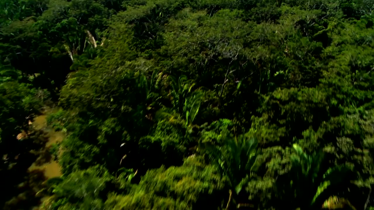 Zoombies screenshot 3