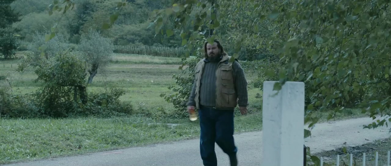 Zoran, il mio nipote scemo screenshot 1