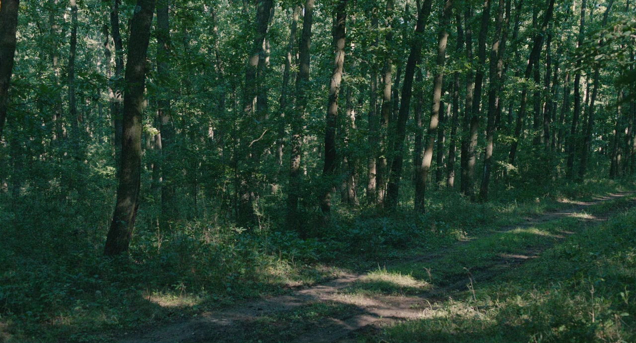 Zavera screenshot 1