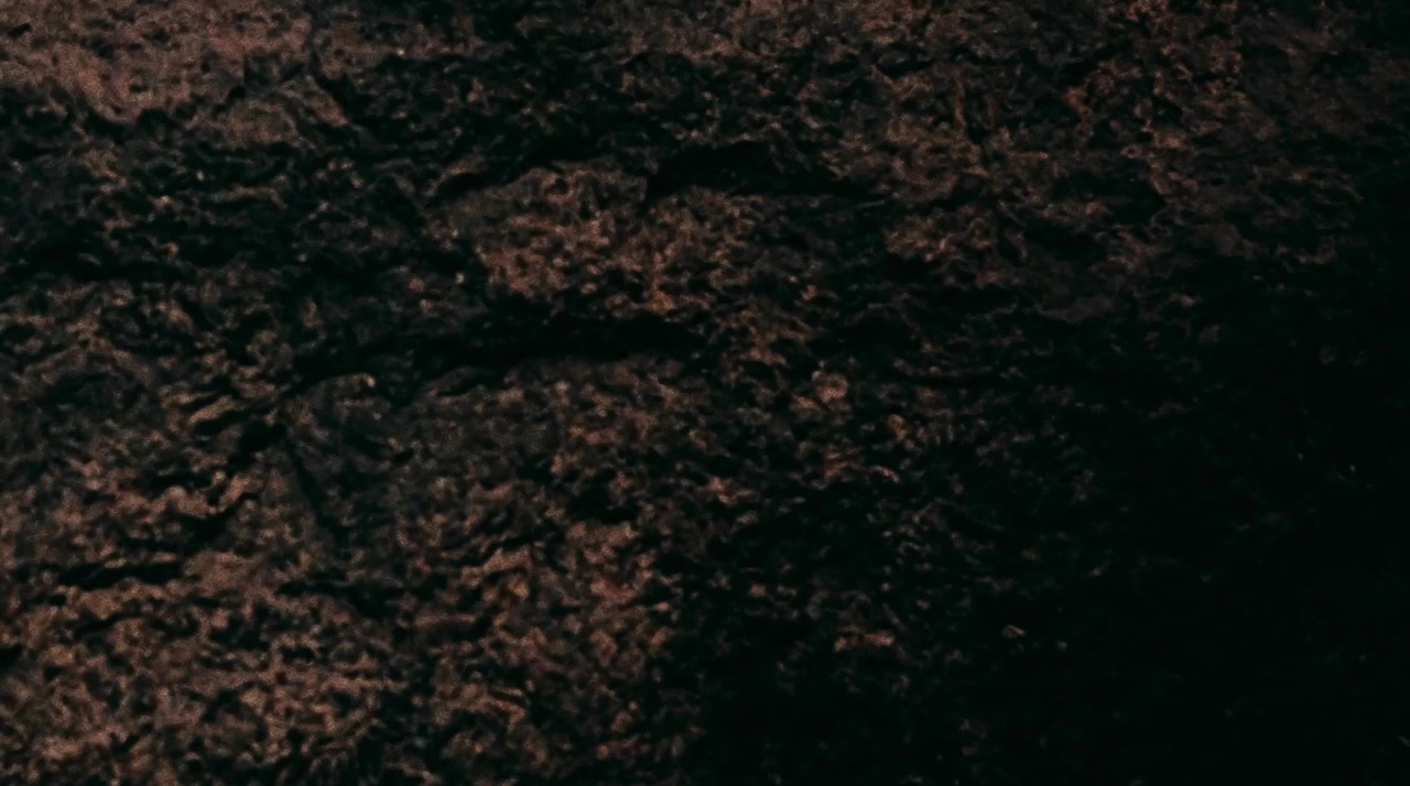 Zamok screenshot 2