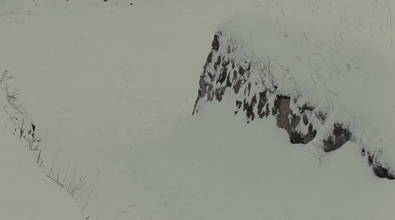 Zamok screenshot 3
