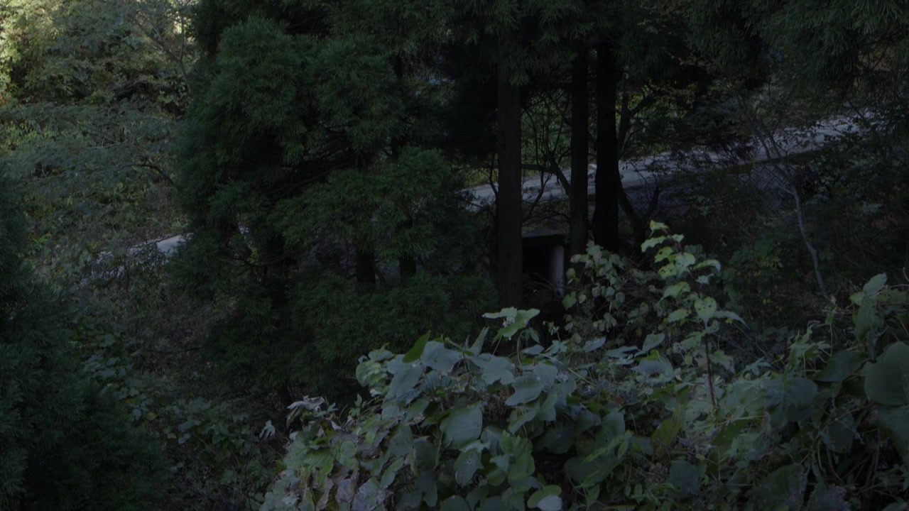 Zen for Nothing screenshot 1