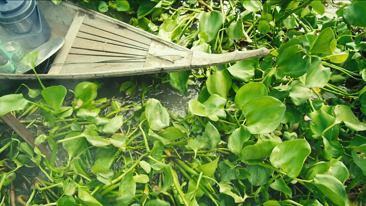 Zero Tolerance screenshot 3