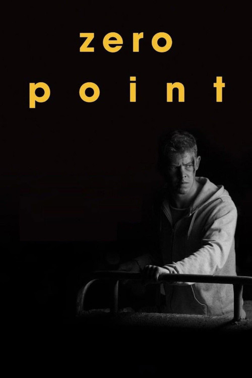 Nullpunkt (2014) poster