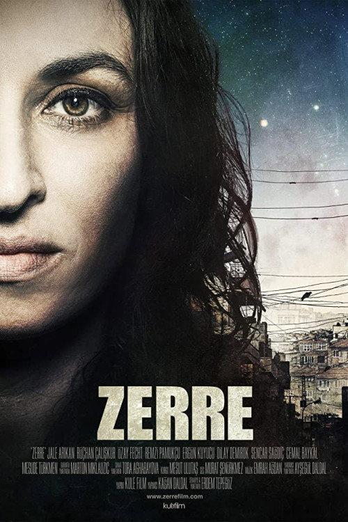 Zerre (2012) poster