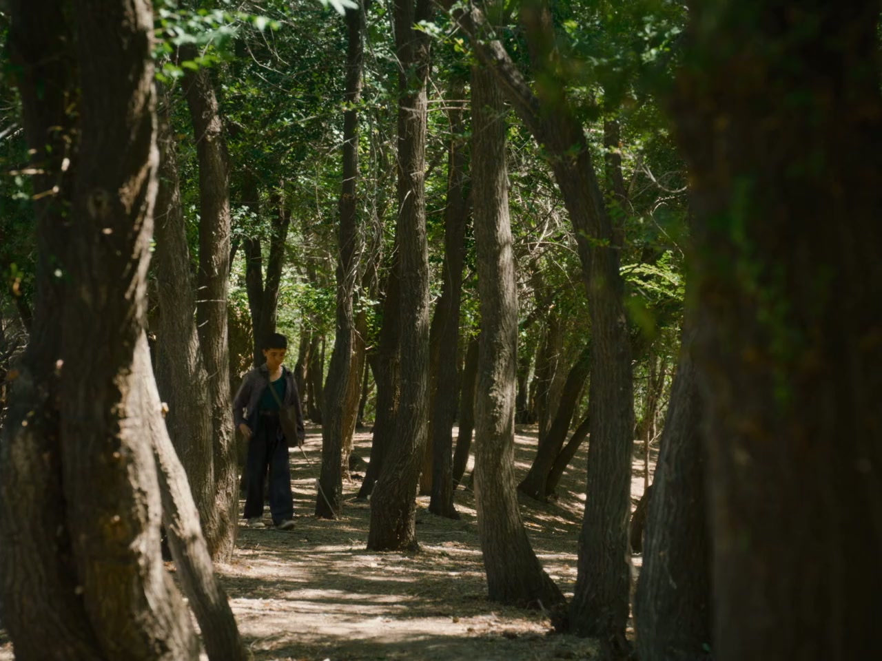 Zhi wu xue jia screenshot 1