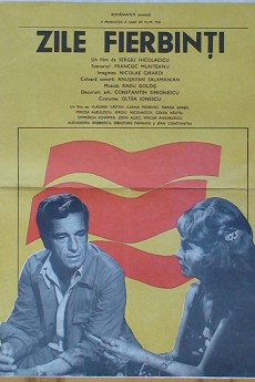 Zile fierbinti (1976) poster