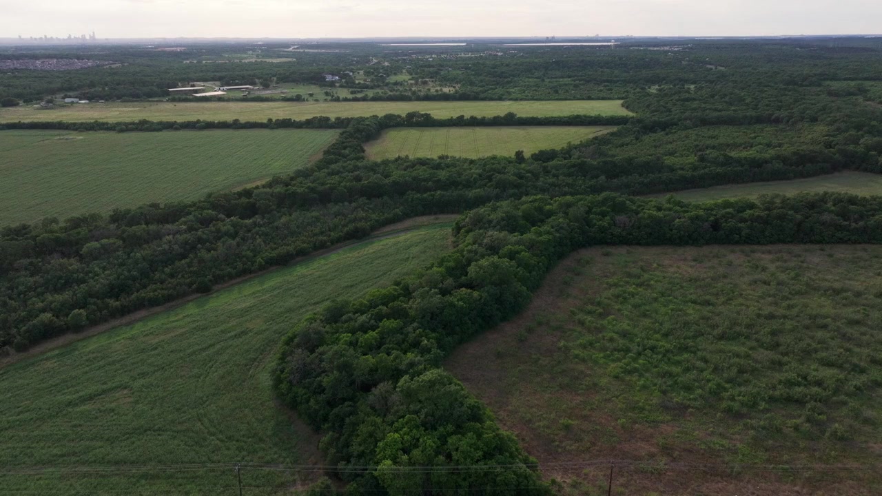 Zurawski v Texas screenshot 2